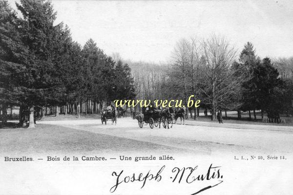 ancienne carte postale de Ixelles Bois de la Cambre - Une grande allée
