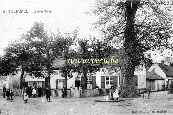 postkaart van Elsene Le Gros Tilleul