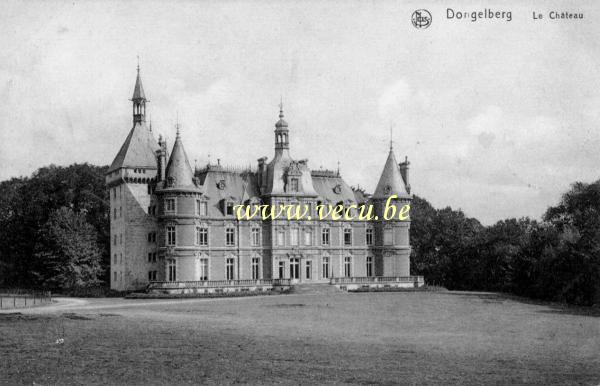 postkaart van Dongelberg Het Kasteel