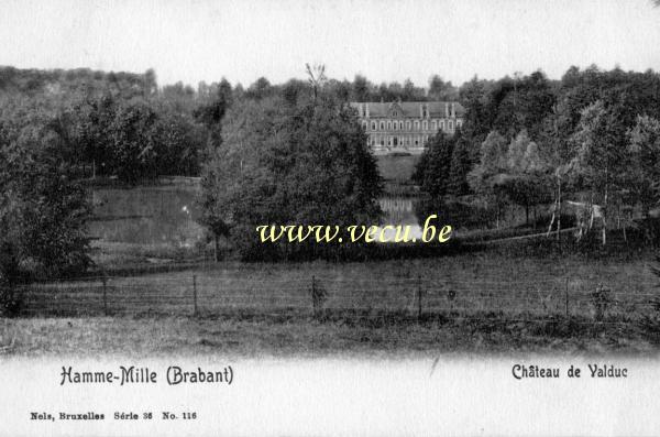 ancienne carte postale de Hamme-Mille Château de Valduc