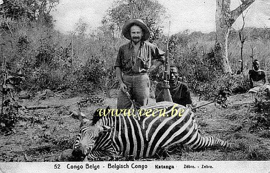 ancienne carte postale de Katanga Zèbre