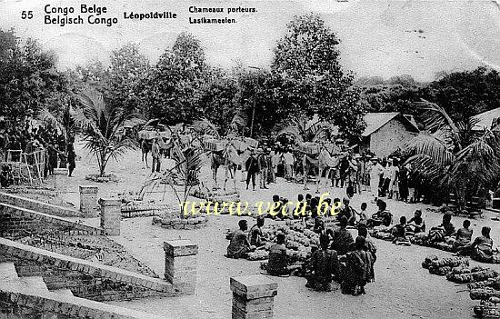 ancienne carte postale de Léopoldville Chameaux porteurs