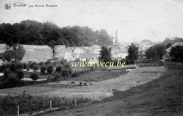 postkaart van Binche Les anciens remparts
