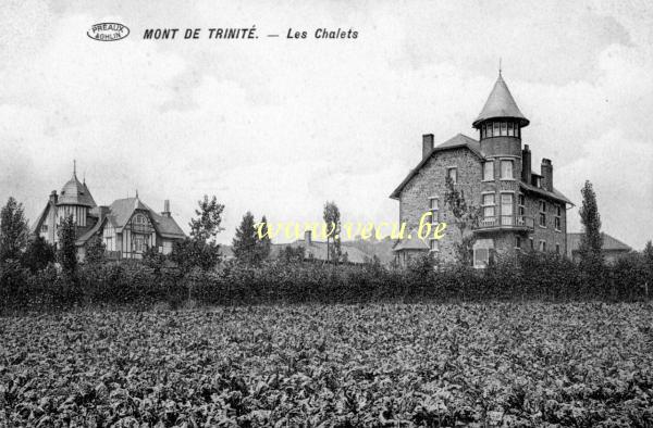 postkaart van Mont-Saint-Aubert Mont de Trinité - Les châlets