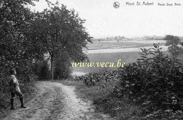 ancienne carte postale de Mont-Saint-Aubert Route sous bois