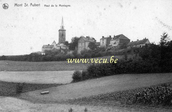 ancienne carte postale de Mont-Saint-Aubert Haut de la montagne