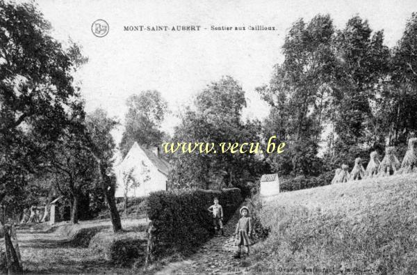 ancienne carte postale de Mont-Saint-Aubert Sentier aux caillioux