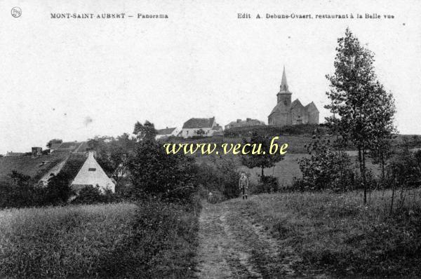 ancienne carte postale de Mont-Saint-Aubert Panorama