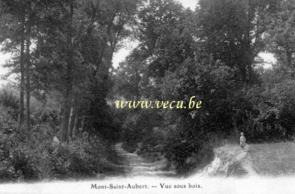 ancienne carte postale de Mont-Saint-Aubert Vue sous bois