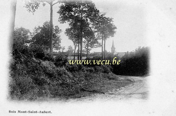 ancienne carte postale de Mont-Saint-Aubert Bois Mont-Saint-Aubert