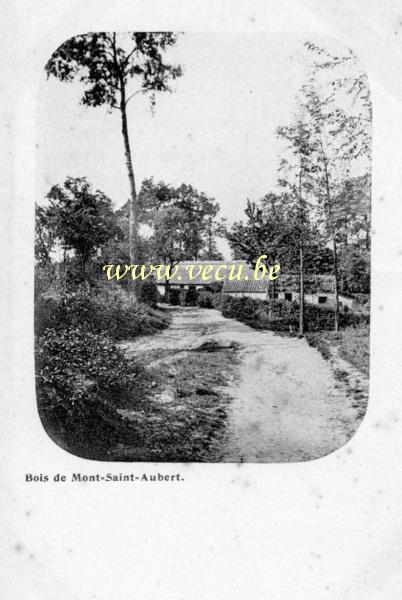 ancienne carte postale de Mont-Saint-Aubert Bois de Mont-Saint-Aubert