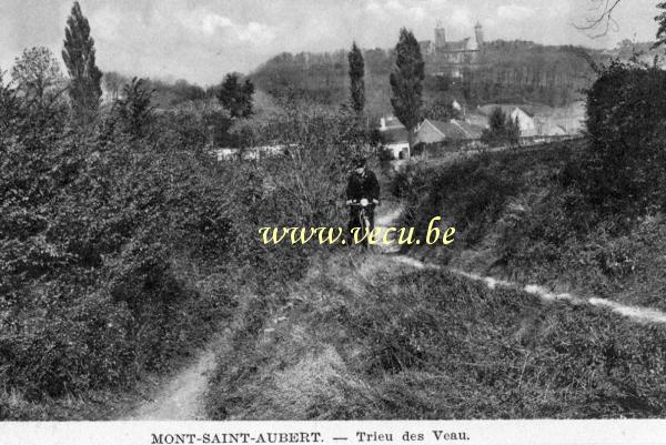 ancienne carte postale de Mont-Saint-Aubert Trieu des Veau