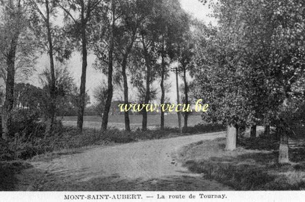 ancienne carte postale de Mont-Saint-Aubert La route de Tournay