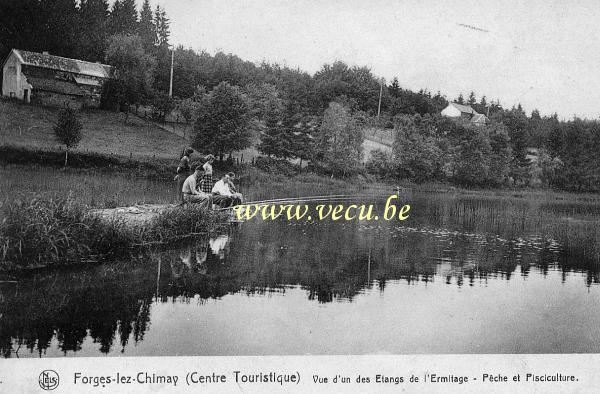 postkaart van Forges-lez-Chimay Vue d'un des Etangs de l'Ermitage - Pêche et Pisciculture