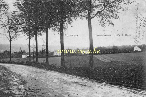 ancienne carte postale de Bomerée Panorama du Vert-Bois