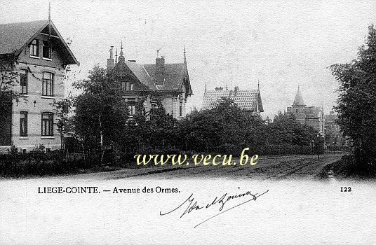 ancienne carte postale de Liège Cointe - Avenue des ormes