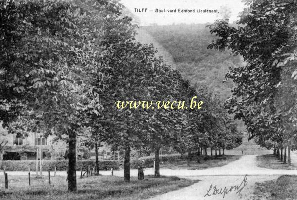 ancienne carte postale de Tilff Boulevard Edmond Lieutenant