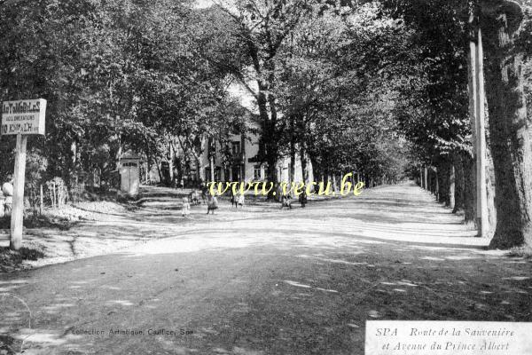 ancienne carte postale de Spa Route de la Sauvenière et Avenue du Prince Albert