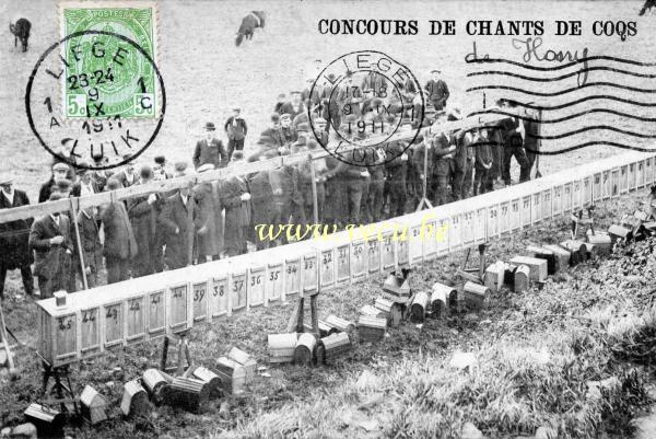 ancienne carte postale de Hony Concours de Chants de Coqs