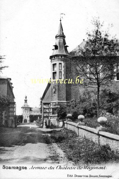 ancienne carte postale de Soumagne Avenue du Château de Wégimont