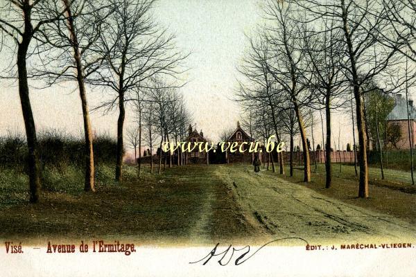 ancienne carte postale de Visé Avenue de l'ermitage