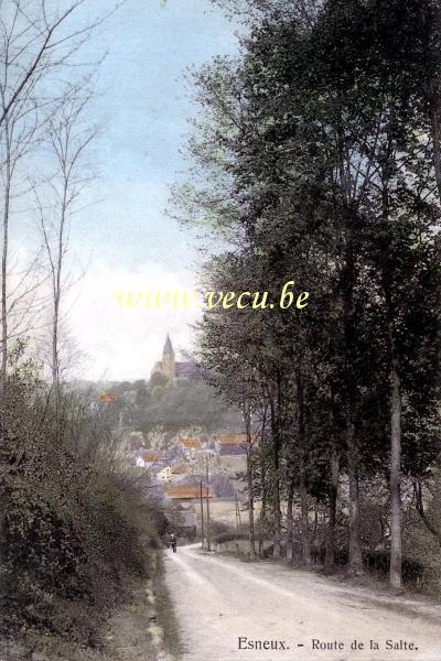 ancienne carte postale de Esneux Route de la Salte