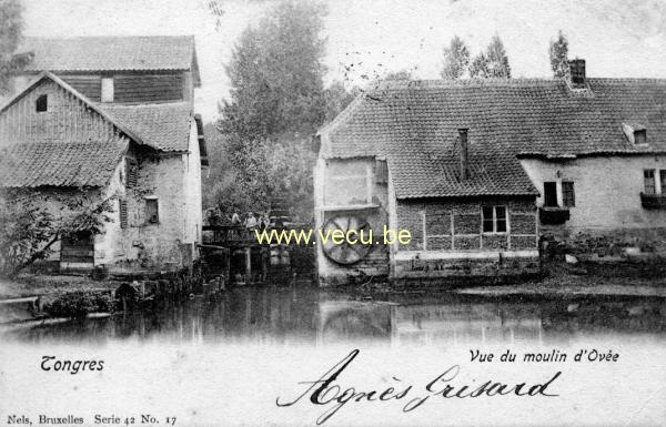 ancienne carte postale de Tongres Vue du moulin d'Ovée