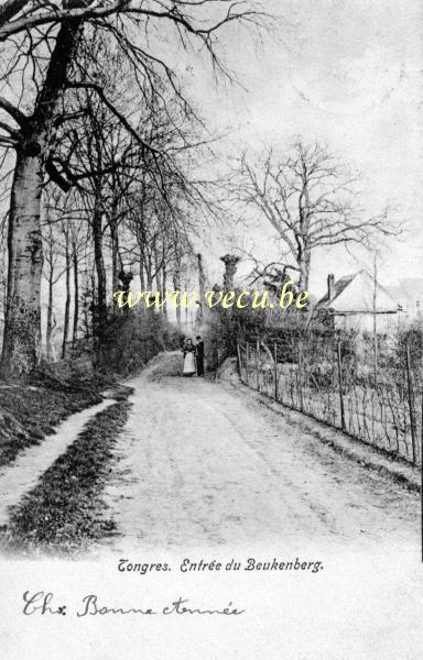 ancienne carte postale de Tongres Entrée du Beukenberg