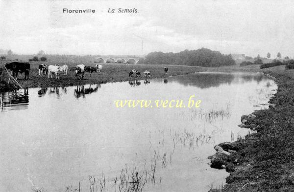 ancienne carte postale de Florenville La Semois