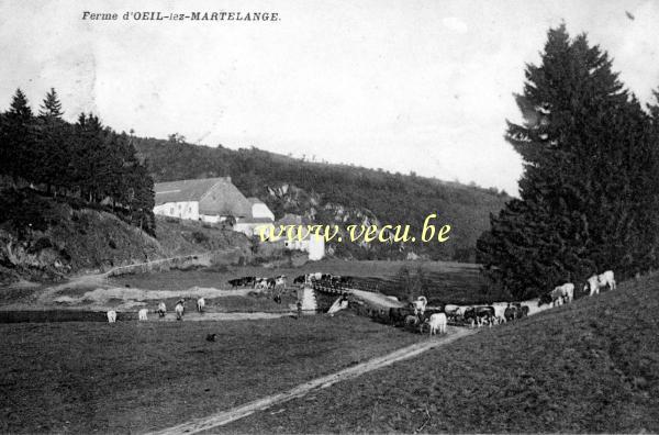 ancienne carte postale de Martelange Ferme d'Oeil lez Martelange