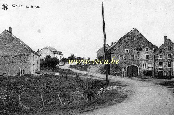postkaart van Wellin&nbsp;Le Tribois