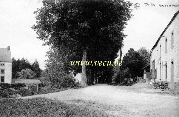 postkaart van Wellin&nbsp;Fonds des Vaulx