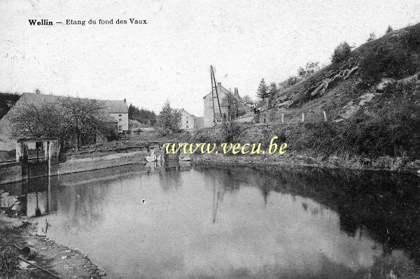 postkaart van Wellin&nbsp;Etang du fond des Vaulx
