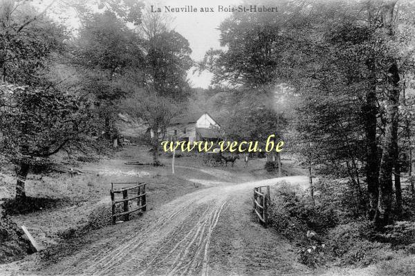 ancienne carte postale de Tenneville Laneuville-au-Bois
