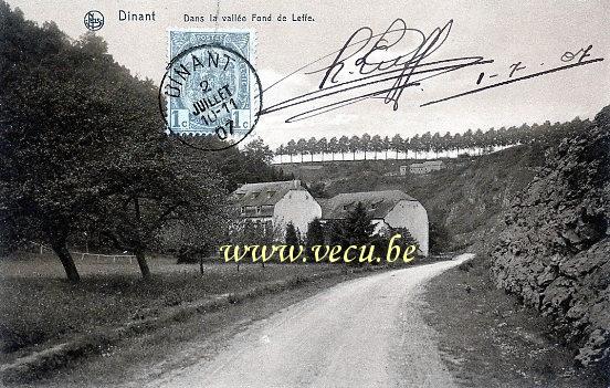 postkaart van Dinant Dans la vallée Fond de Leffe