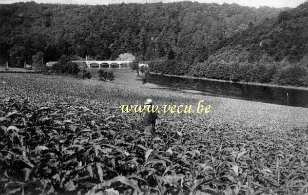 ancienne carte postale de Alle-sur-Semois Tabac de la Semois