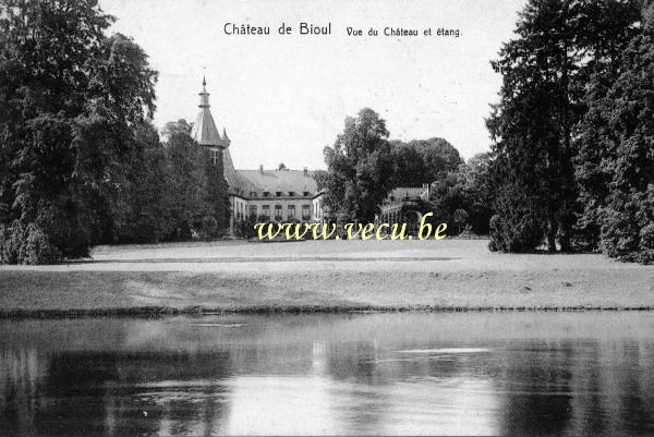 ancienne carte postale de Bioul Vue du château et étang