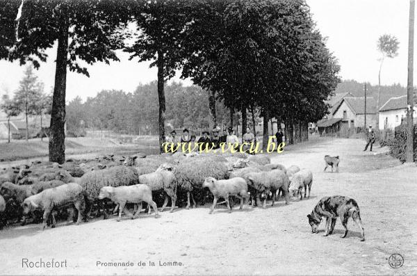 ancienne carte postale de Rochefort Promenade de la Lomme