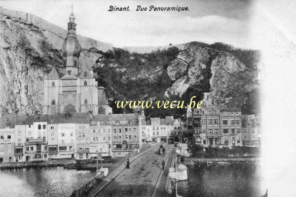 postkaart van Dinant Vue Panoramique