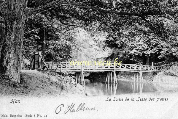 postkaart van Han-sur-Lesse La sortie de la Lesse des grottes