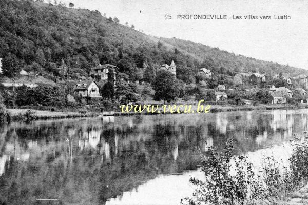 ancienne carte postale de Profondeville Les Villas vers Lustin