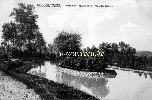 ancienne carte postale de Nederbrakel Parc des Top Bronnen - Vue des étangs