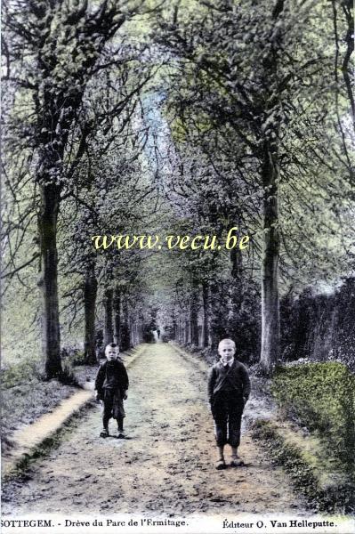 ancienne carte postale de Zottegem Drève du parc de l'Ermitage