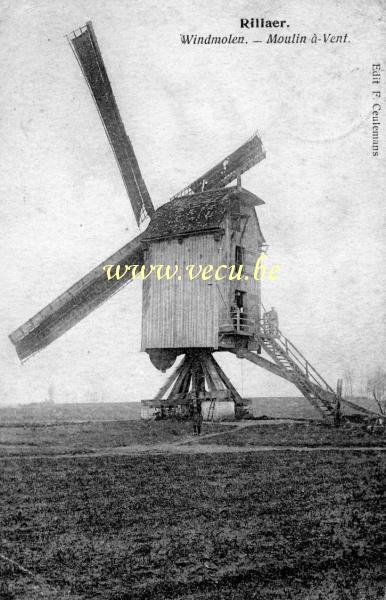 postkaart van Rillaar Windmolen
