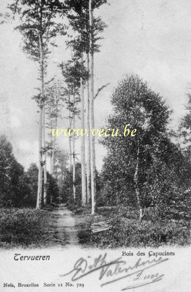 ancienne carte postale de Tervueren Bois des capucines