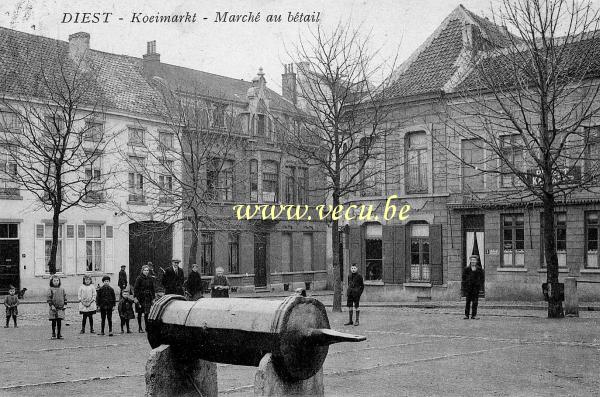 ancienne carte postale de Diest Marché au bétail