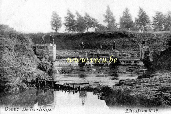 ancienne carte postale de Diest De Teerlings