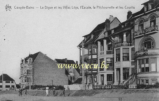 ancienne carte postale de Coxyde La Digue et les villas Lilys, l'Escale, la Pitchounette et les Courlis
