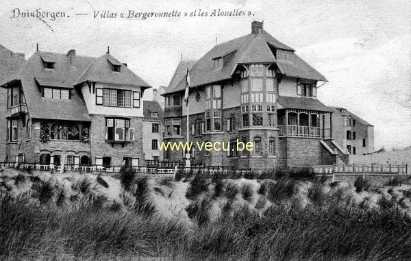ancienne carte postale de Duinbergen Villas Bergeronnette et les Alouettes