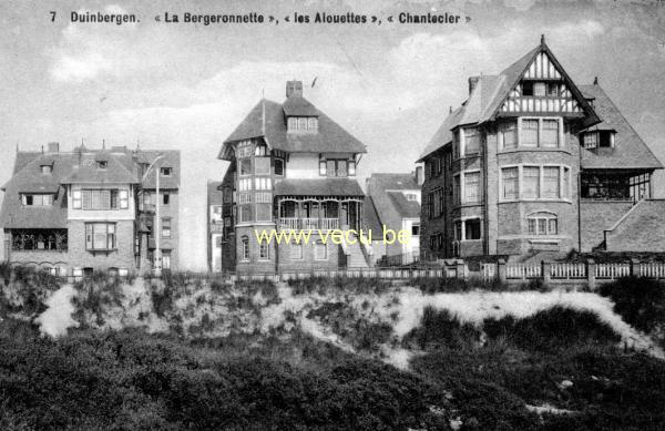ancienne carte postale de Duinbergen La bergeronnette, les Alouettes, Chantecler
